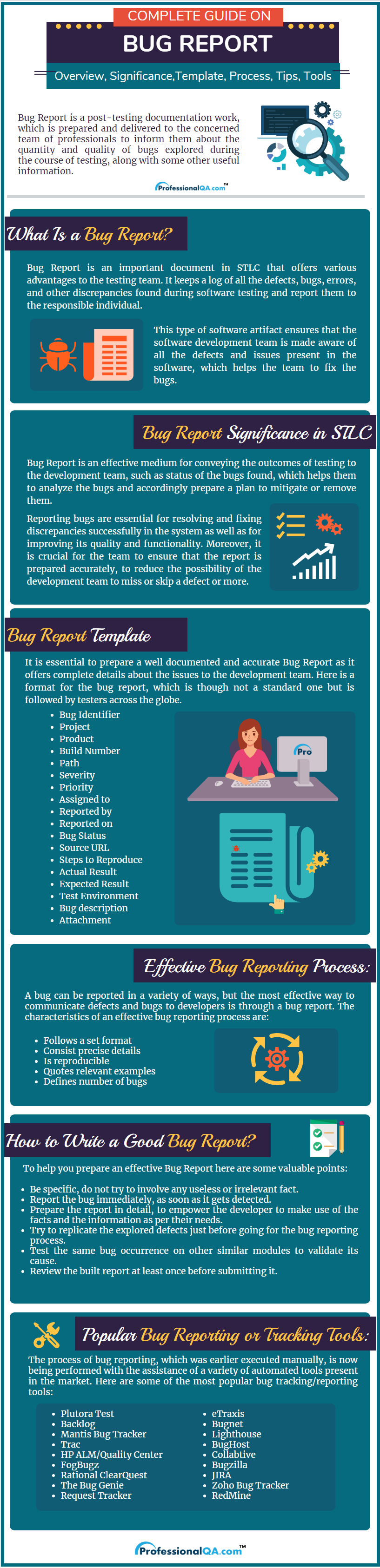 Bug Report Infographics